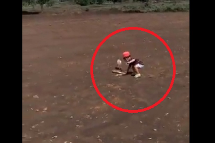 खेळताना चिमुकल्याच्या हातात आला चक्क नाग, पुढे काय घडलं? पाहा अंगावर काटा आणणारा VIDEO