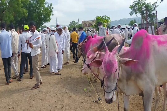 महाराष्ट्राच्या मातीची स्वतंत्र ओळख मोजतेय शेवटची घटका, बळीराजाचे 'मार्ट' संकटाच्या खाईत!