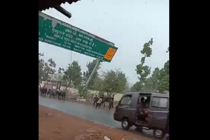 वाऱ्यामुळे चालत्या गाडीवर कोसळला भला मोठा साइन बोर्ड; VIDEO VIRAL