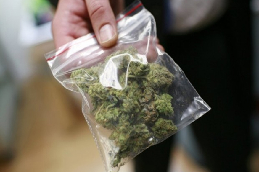 मुंबईत मोठी कारवाई, कॉलेज तरुणांना ऑनलाइन गांजा विकणाऱ्या टोळीचा पर्दाफाश