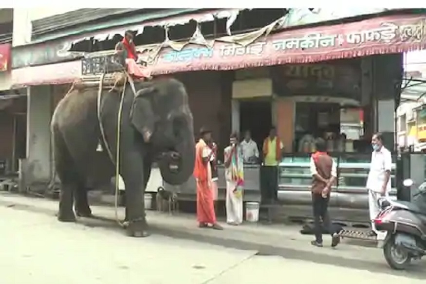 VIDEO - हत्तीही पडला चहाच्या प्रेमात; खास रेस्टॉरंटमध्येच घेतो चुस्की