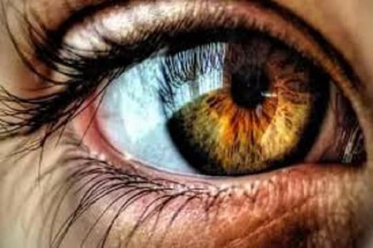 डोळ्यांच्या आरोग्यासाठी महत्त्वाचा आहार; आवश्यक आहेत 5 पोषक घटक