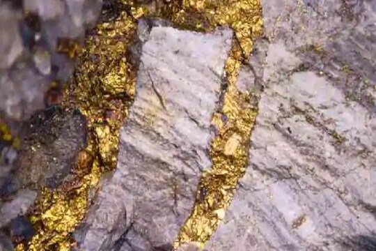 कोरोनाच्या संकटात 'हे' राज्य झालं मालामाल, सापडला 120 कोटींचा खजिना