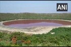 जगप्रसिद्ध लोणार सरोवराच्या पाण्याचा रंग झाला लाल; अचानक कसा बदलला रंग?