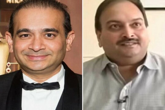 अबब! EDचा दणका, नीरव मोदी आणि चोकसीचा 1,350 कोटींचा खजिना हाँगकाँगहून आणला भारतात