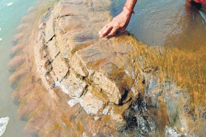 चमत्कार! नदीतून वर आलं लुप्त झालेलं पुरातन मंदिर; महानदीत सापडला 500 वर्षांपूर्वीचा वारसा