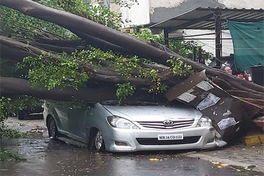 Nisarga Effect : चक्रीवादळामुळे चारजणं जखमी; अद्याप जीवितहानी नाही