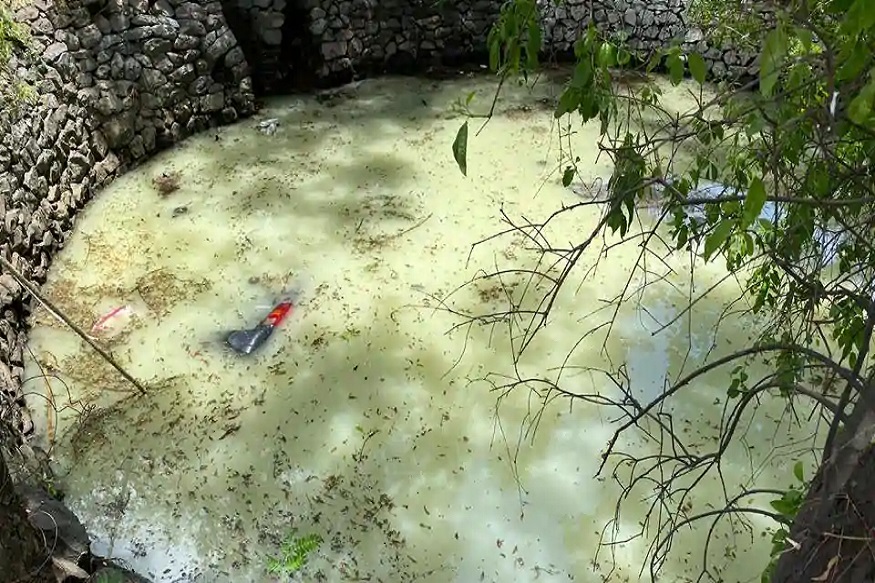 नियतीचा खेळ! पुण्यात कुत्र्याला वाचवण्याच्या प्रयत्नात गमावलं कुटुंब, कार विहिरीत कोसळून पत्नीसह दोन्ही मुलांचा मृत्यू