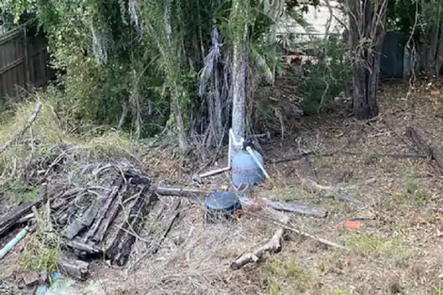 इथं लपलाय भला मोठा अजगर; आधी तुम्ही शोधा मग इतरांनाही चॅलेंज द्या