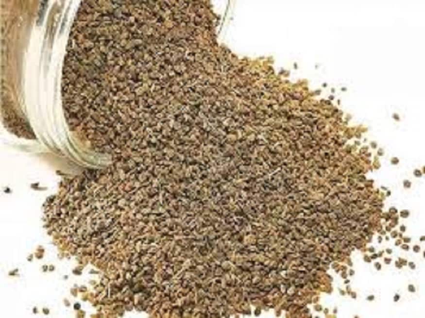 माय उपचारसंबंधित डॉ. लक्ष्मीदत्ता शुक्ला यांनी सांगितलं, घरगुती उपाय करण्यासाठी ओवा खूप गुणकारी आहे. विशेषत: पोटाच्या समस्यांवर ओव्यापेक्षा दुसरा चांगला उपचार नाही. माय उपचारसंबंधित डॉ. लक्ष्मीदत्ता शुक्ला यांनी सांगितलं, घरगुती उपाय करण्यासाठी ओवा खूप गुणकारी आहे. विशेषत: पोटाच्या समस्यांवर ओव्यापेक्षा दुसरा चांगला उपचार नाही.