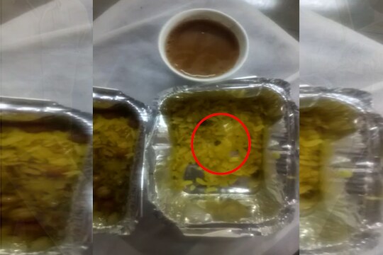 कोरोना रुग्णांच्या नाश्त्यात उंदराची विष्ठा आणि अळ्या, प्रशासनाची पोलखोल करणारा VIDEO व्हायरल