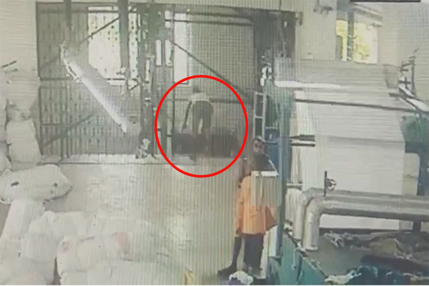 लिफ्ट ट्रॉलीमध्ये माल लोड करताना तिसऱ्या मजल्यावरून कोसळला हेल्पर, समोर आला VIDEO