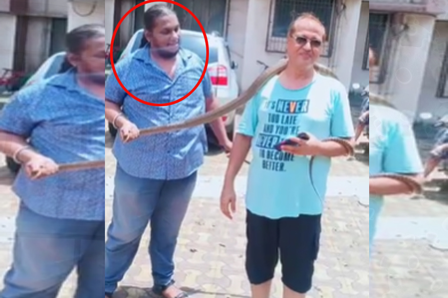 VIDEO: सापांशी स्टंटबाजी करणं आलं अंगाशी, वनविभागानं तरुणावर केली अशी कारवाई