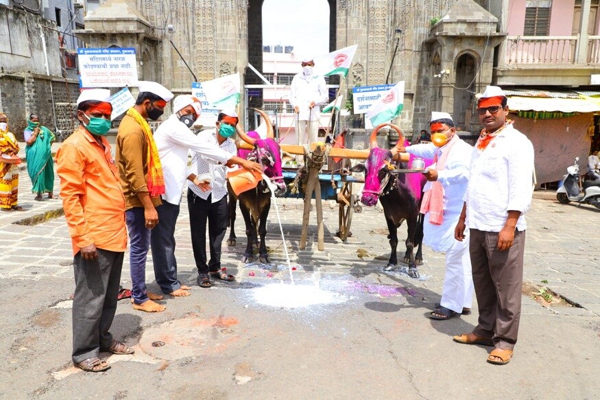 दूध उत्पादकांना गायीच्या दुधासाठी किमान 30 रुपये प्रति लिटर भाव द्या या मागणीसाठी सुरू असलेल्या आंदोलनाच्या पार्श्वभूमीवर दुग्ध विकास मंत्री सुनील केदार यांनी बोलावलेल्या बैठकीत कोणताही ठोस निर्णय न झाल्याने शेतकऱ्यांच्या पदरी निराशाच पडली आहे. (फोटो- स्वाभिमानी शेतकरी संघटनेचे तुळजाभवानी मंदिरासमोरचं आंदलन) दूध उत्पादकांना गायीच्या दुधासाठी किमान 30 रुपये प्रति लिटर भाव द्या या मागणीसाठी सुरू असलेल्या आंदोलनाच्या पार्श्वभूमीवर दुग्ध विकास मंत्री सुनील केदार यांनी बोलावलेल्या बैठकीत कोणताही ठोस निर्णय न झाल्याने शेतकऱ्यांच्या पदरी निराशाच पडली आहे. (फोटो- स्वाभिमानी शेतकरी संघटनेचे तुळजाभवानी मंदिरासमोरचं आंदलन)