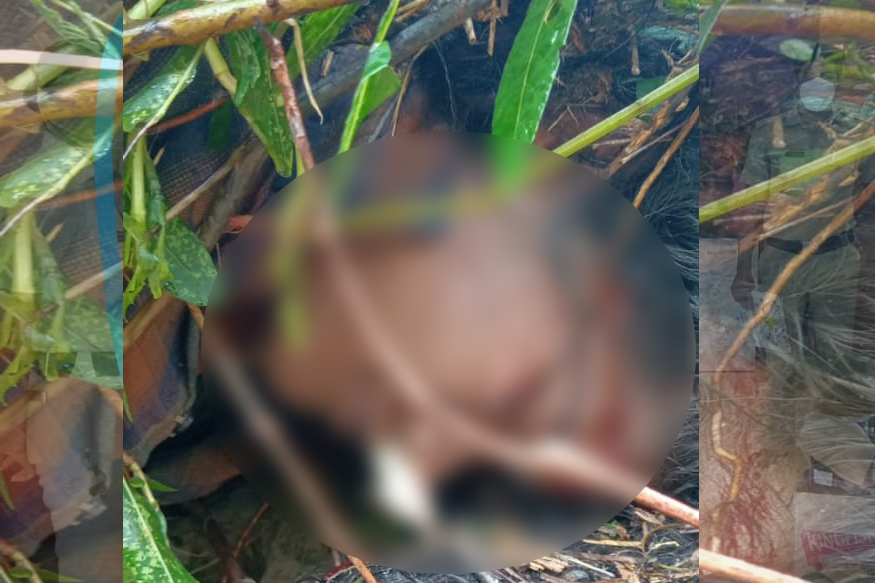 शेतात गेलेल्या मायलेकी घरी परतल्याच नाही, नाल्यात सापडल्या अशा अवस्थेत