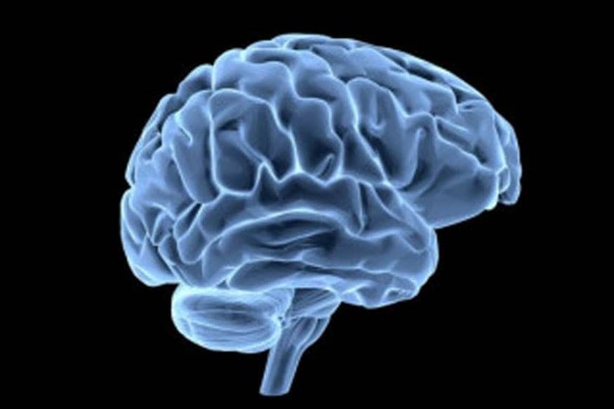 ही नर्व्ह मेंदूच्या hypothalamus या भागाला जोडलेली आहे. हा भाग आपली भूक आणि खाणं यावर नियंत्रण ठेवतो. तज्ज्ञांच्या मते, मेंदूतील hypothalamus चं चयापचय आणि भूकेवर नियंत्रण ठेवण्याचं कार्य व्यक्तीनुसार वेगवेगळं असतं. त्यामुळेच काही व्यक्ती इतरांपेक्षा लवकर वजन घटवतात. ही नर्व्ह मेंदूच्या hypothalamus या भागाला जोडलेली आहे. हा भाग आपली भूक आणि खाणं यावर नियंत्रण ठेवतो. तज्ज्ञांच्या मते, मेंदूतील hypothalamus चं चयापचय आणि भूकेवर नियंत्रण ठेवण्याचं कार्य व्यक्तीनुसार वेगवेगळं असतं. त्यामुळेच काही व्यक्ती इतरांपेक्षा लवकर वजन घटवतात.
