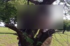 बेपत्ता झालेल्या प्रेमीयुगुलाची गळफास घेऊन आत्महत्या, बुलडाण्यात खळबळ