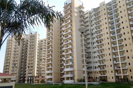 नावात सर्वकाही आहे! CORONA नावामुळे या उद्योगामध्ये आल्या अनेक समस्या, ग्राहकांच्या नाराजीमुळे मालकही त्रस्त
