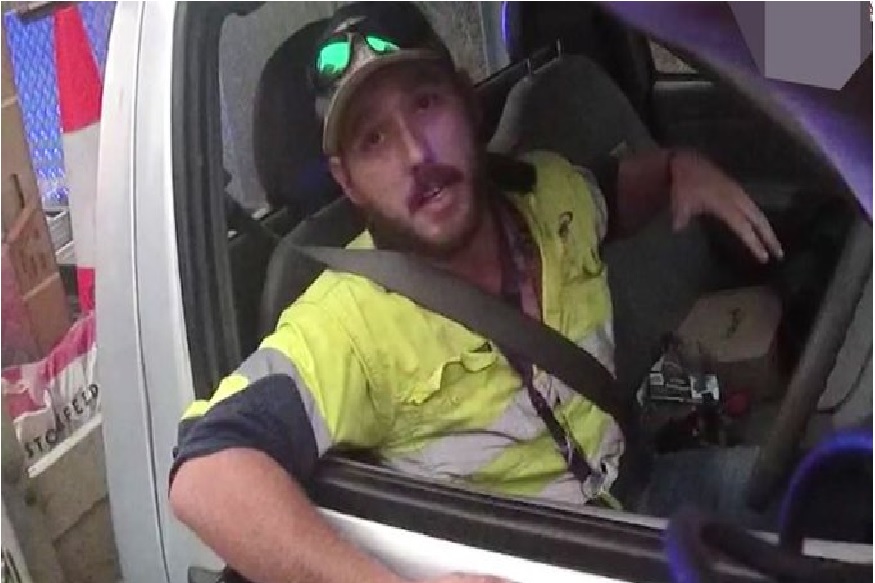 भयानक! कार चालवताना ब्रेकजवळ बसला होता सगळ्यात विषारी साप, पुढे झालं असं...