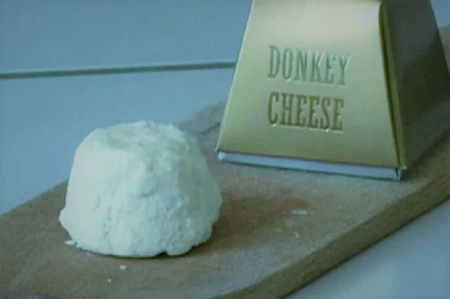 गाय, म्हैस नव्हे तर गाढविणीच्या दुधापासून तयार केलं जातं जगातील सर्वात महागडं चीझ