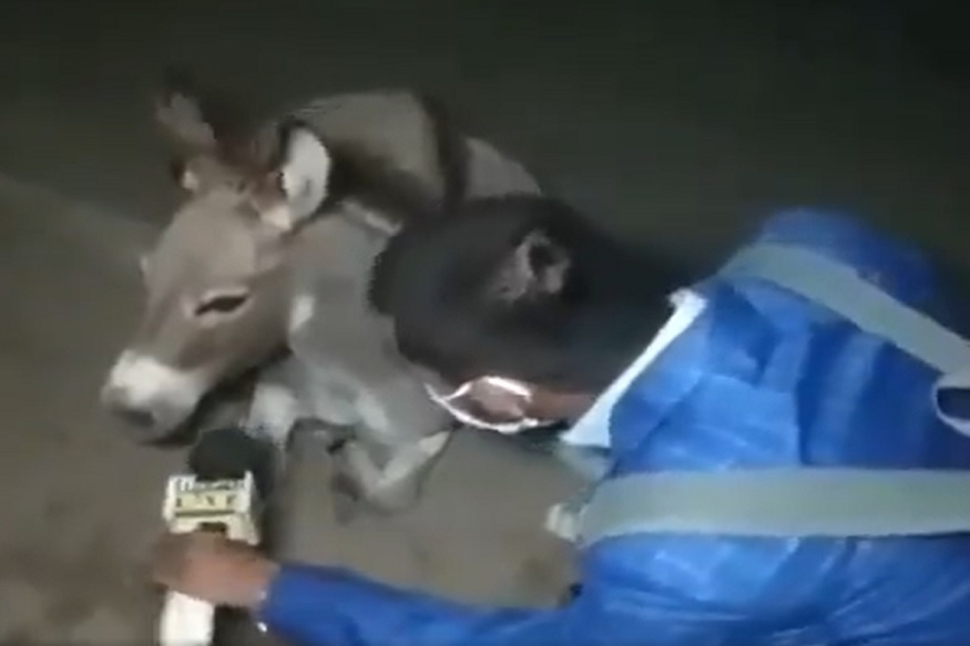 विनामास्क फिरणाऱ्यांना पत्रकारानं असा शिकवला धडा, VIDEO पाहून आवरणार नाही हसू