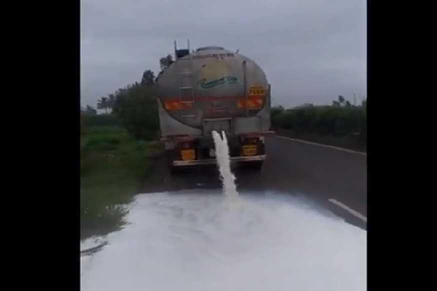 आंदोलन चिघळलं! 'स्वाभिमानी'च्या कार्यकर्त्यांनी फोडला दुधाचा टँकर, पाहा VIDEO