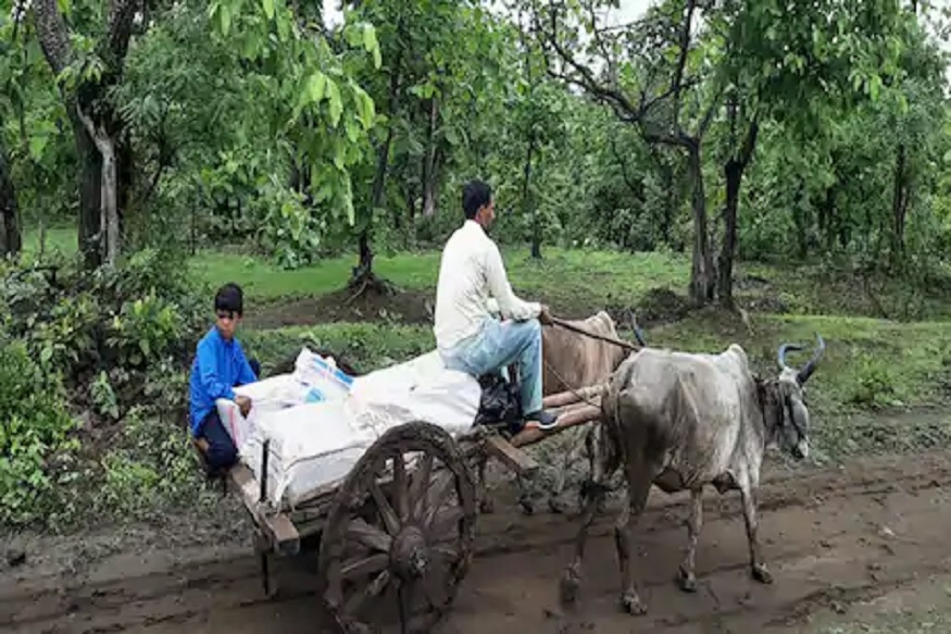 बैलगाडीतून शालेय पुस्तक नेण्याची या शिक्षकावर का आली वेळ? काय आहे प्रकरण