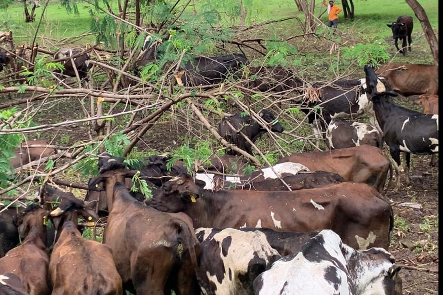 या गंभीर प्रकाराबाबत संबंधित केंद्र प्रमुखांशी संपर्क साधला. मात्र, त्यांनी आपल्याला विसंगत उत्तरे दिल्याची माहिती खासदार श्रीरंग बारणे ह्यांनी दिली आहे. या गंभीर प्रकाराबाबत संबंधित केंद्र प्रमुखांशी संपर्क साधला. मात्र, त्यांनी आपल्याला विसंगत उत्तरे दिल्याची माहिती खासदार श्रीरंग बारणे ह्यांनी दिली आहे.