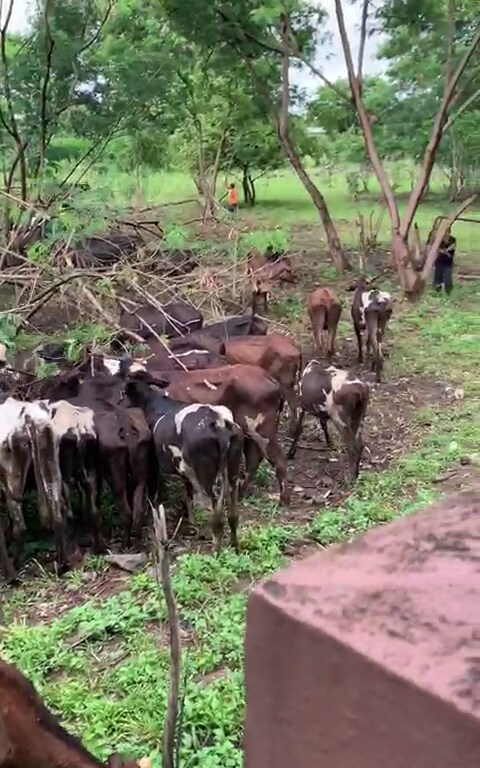 दरम्यान, या केंद्राचे प्रमुख हरिभाऊ देशमुख यांच्याशी संपर्क साधला तेव्हा त्यांनी घडलेला प्रकार आपल्याच केंद्रातील असल्याच मान्य केले आहे. दरम्यान, या केंद्राचे प्रमुख हरिभाऊ देशमुख यांच्याशी संपर्क साधला तेव्हा त्यांनी घडलेला प्रकार आपल्याच केंद्रातील असल्याच मान्य केले आहे.