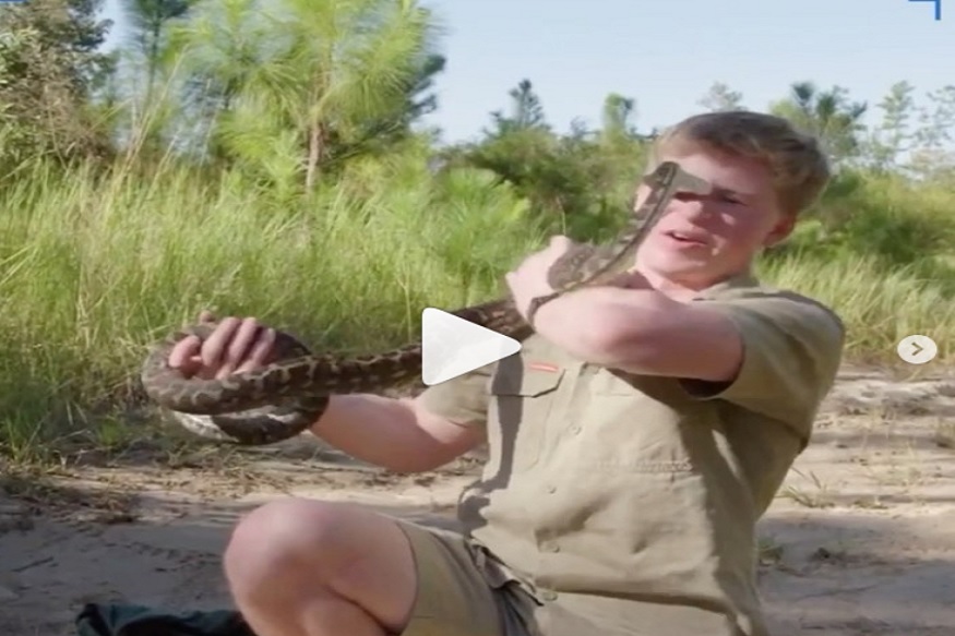 तरुणानं हात लावताच काढला फुत्कार, चिडलेल्या सापानं काय केलं पाहा VIDEO