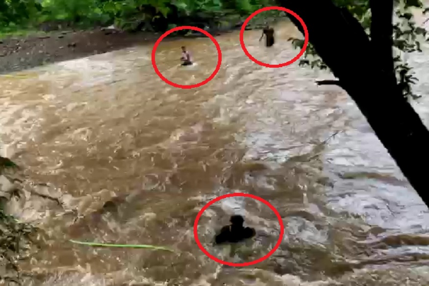 7 जण पुरामुळे नदीत अडकले, जीवाची बाजी लावून तरुणांनी वाचवलं; पाहा VIDEO