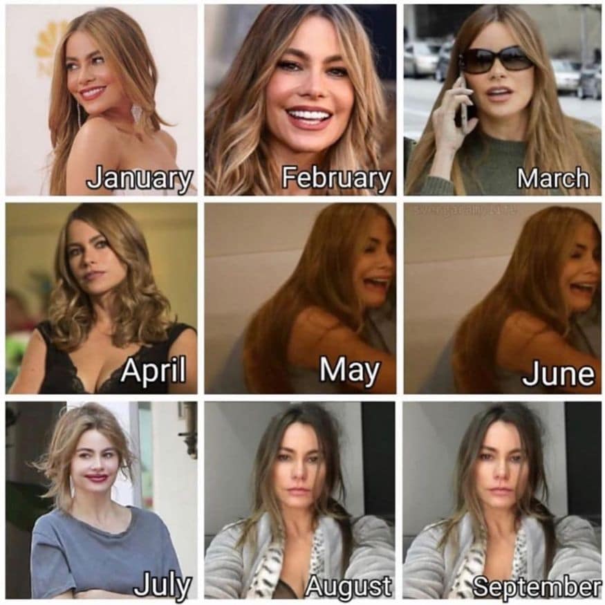Sofia Vergara चे हे लुक 2020 वर्षामधील सर्वच जणांच्या भावना मांडत आहेत. (फोटो सौजन्य- इन्स्टाग्राम) Sofia Vergara चे हे लुक 2020 वर्षामधील सर्वच जणांच्या भावना मांडत आहेत. (फोटो सौजन्य- इन्स्टाग्राम)