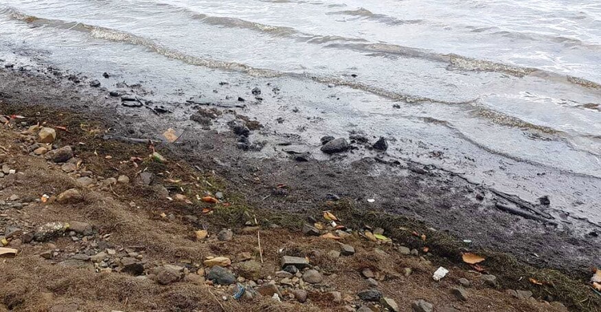 या अपघातामुळे चक्क संपूर्ण समुद्राचे (Pristine beaches) पाणी काळ्या रंगाचे झाले. हे पाणी स्वच्छ करण्यासाठी सध्या हजारो नागरिक मेहनत करत आहे. फोटो सौजन्य-AP या अपघातामुळे चक्क संपूर्ण समुद्राचे (Pristine beaches) पाणी काळ्या रंगाचे झाले. हे पाणी स्वच्छ करण्यासाठी सध्या हजारो नागरिक मेहनत करत आहे. फोटो सौजन्य-AP