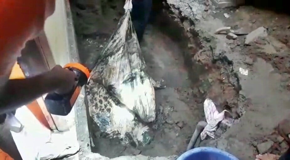 पोलिसांनी दिलेल्या म्हणण्यानुसार, संपत्तीच्या लालचेपोटी जावई आणि दोन वर्षाच्या सूनने चौघांची हत्या केली. तर त्यांचा मृतदेह हा घरातच पुराला असल्याचं कोणालाही माहिती नव्हतं. तर सध्या पोलीस आरोपी जावई, त्याचा भाडेकरू आणि मुलगी यांची चौकशी करत आहेत.