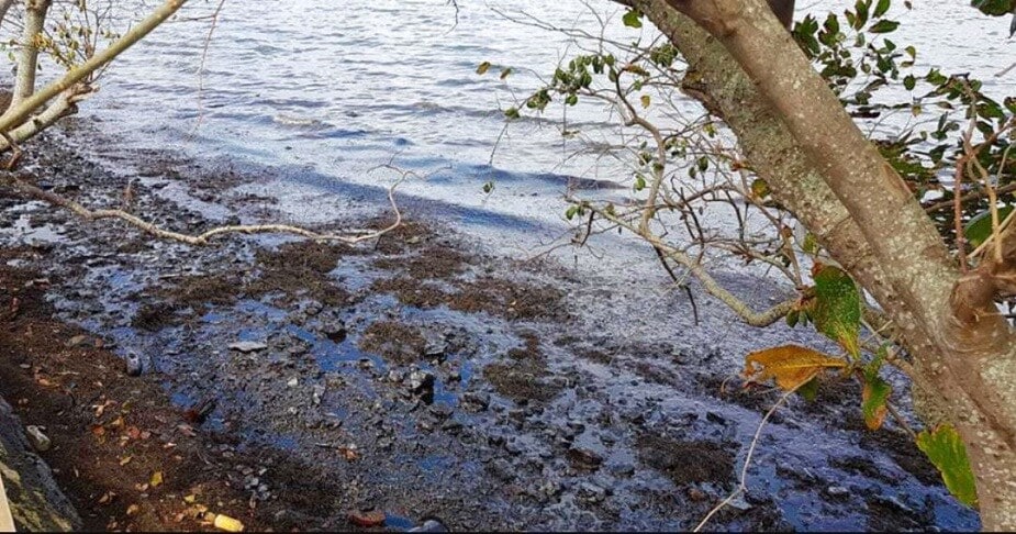 मॉरिशसमध्ये लोक सरकारविरोधात रस्त्यांवर उतरले आहेत. कोरोनाच्या काळात जपानी जहाजातून तेलगळती झाल्याने मोठ्या प्रमाणात तेल समुद्रात जमा झाले आहे. डॉल्फिनच्या मृत्यूमागे लोकांनी तेलाचं कारण जोडत आहेत. मॉरिशससाठी हा मोठा झटका मानला जात आहे. या समुद्री भागात मोठ्या प्रमाण जैवविविधता आढळून येते, मात्र तेलाच्या तवंगाने हे नष्ट झाले आहे आणि अनेक समुद्रातील जीव धोक्यात सापडले आहेत. मॉरिशसमध्ये लोक सरकारविरोधात रस्त्यांवर उतरले आहेत. कोरोनाच्या काळात जपानी जहाजातून तेलगळती झाल्याने मोठ्या प्रमाणात तेल समुद्रात जमा झाले आहे. डॉल्फिनच्या मृत्यूमागे लोकांनी तेलाचं कारण जोडत आहेत. मॉरिशससाठी हा मोठा झटका मानला जात आहे. या समुद्री भागात मोठ्या प्रमाण जैवविविधता आढळून येते, मात्र तेलाच्या तवंगाने हे नष्ट झाले आहे आणि अनेक समुद्रातील जीव धोक्यात सापडले आहेत.