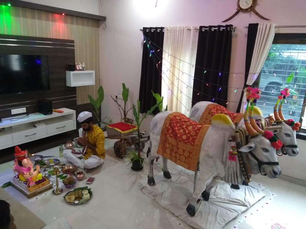 बैलगाडा शर्यतीवरील बंदी उठविण्यात यावी…घाटात पुन्हा ” भिर्रररररररररर….झाली….”