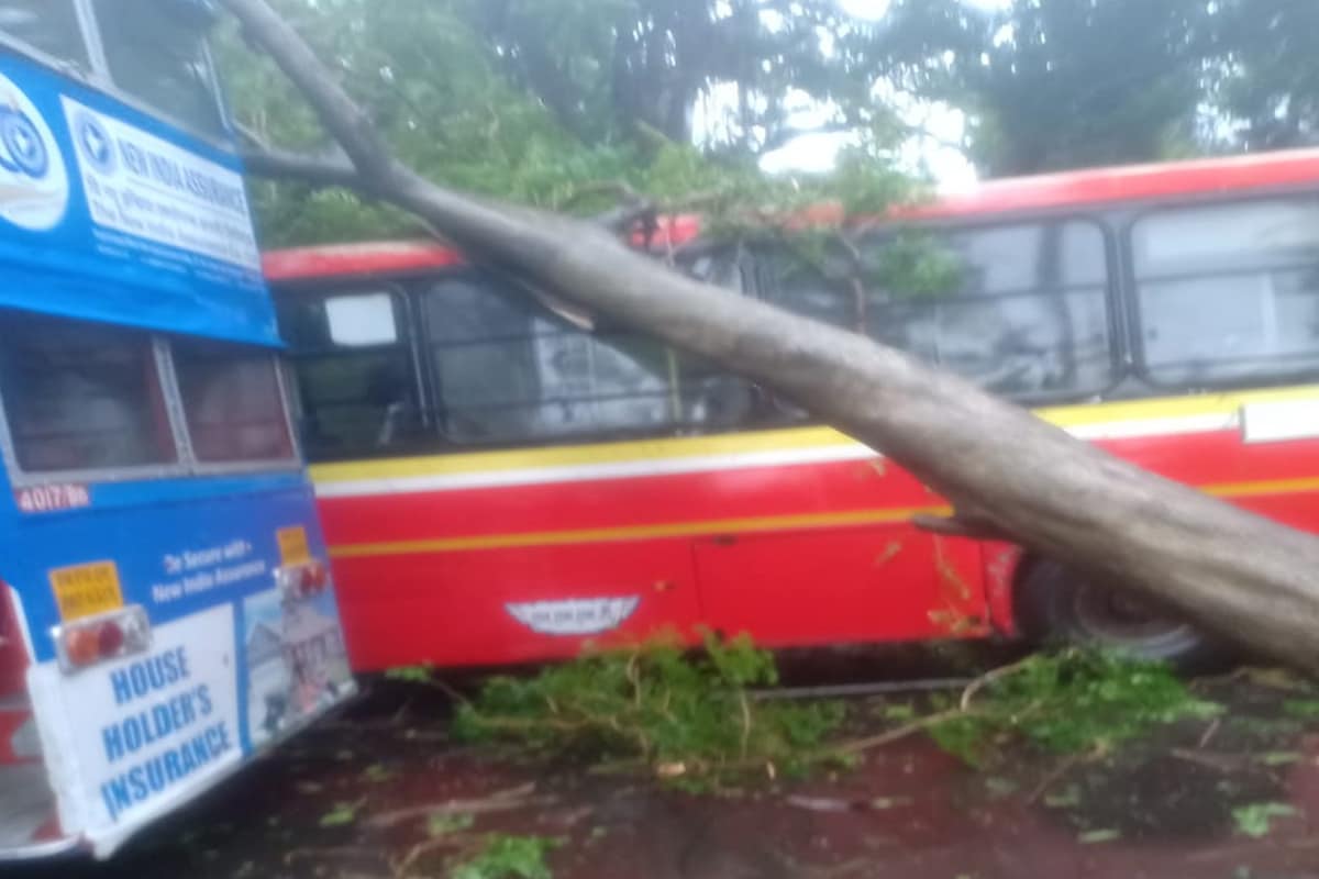 मुंबईतील परेल येथील KEM हॉस्पिटलजवळ सोसाट्याच्या वाऱ्यामुळे भले मोठे झाड बस स्टॉपवर कोसळले आहे. यात दोन बसचं मोठं नुकसान झालं आहे. मुंबईतील परेल येथील KEM हॉस्पिटलजवळ सोसाट्याच्या वाऱ्यामुळे भले मोठे झाड बस स्टॉपवर कोसळले आहे. यात दोन बसचं मोठं नुकसान झालं आहे.