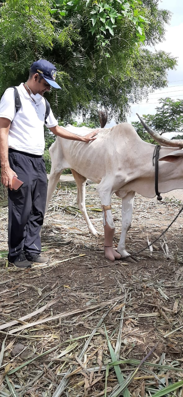 संचेती रुग्णालयाच्या प्रोस्थेटीक आणि ऑर्थोटीक्स विभागाचे प्रमुख डॉ. सलील जैन यांनी सांगितलं, संचेती रुग्णालयाच्या प्रोस्थेटीक आणि ऑर्थोटीक्स विभागाचे प्रमुख डॉ. सलील जैन यांनी सांगितलं,