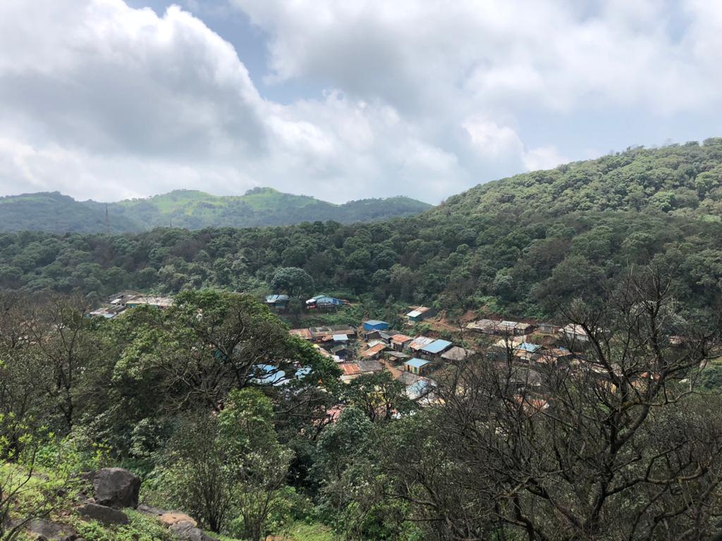 इकोसेन्सेटिव्ह झोन मध्ये येणारी गावे : पुणे- जिल्हयातील जुन्नर तालुक्यातील फागुलगव्हाण, आंबोली, भिवडे बुद्रूक, भिवडे खुर्द, हातवीज आंबेगाव तालुक्यातील डोण, आघाणे, नाव्हेड, तिरपाड, नानवडे, महाळुंगे तर्फे आंबेगाव, पिंपरी, तेरूंगण, खेड तालुक्यातील भिवेगाव, भोमाळे, खरपुड रायगड -जिल्हयातील जाबरंग, राजापुर, टामभरे, सिंगढोल, धोत्रे, शिलार, पथराज, खांडस, अंभेरपाडा, नांदगाव ठाणे - जिल्हयातील बालिवरे, डोंगरनाव्हे, जांबुुर्डे, खानीवरे, सकुरली, नारीवली, उचले, देहरी, खोपवली, मिल्हे, दुधांनोली, उमरोली खुर्द, दुर्गापुर, मध, रामपूर, पालू इकोसेन्सेटिव्ह झोन मध्ये येणारी गावे : पुणे- जिल्हयातील जुन्नर तालुक्यातील फागुलगव्हाण, आंबोली, भिवडे बुद्रूक, भिवडे खुर्द, हातवीज आंबेगाव तालुक्यातील डोण, आघाणे, नाव्हेड, तिरपाड, नानवडे, महाळुंगे तर्फे आंबेगाव, पिंपरी, तेरूंगण, खेड तालुक्यातील भिवेगाव, भोमाळे, खरपुड रायगड -जिल्हयातील जाबरंग, राजापुर, टामभरे, सिंगढोल, धोत्रे, शिलार, पथराज, खांडस, अंभेरपाडा, नांदगाव ठाणे - जिल्हयातील बालिवरे, डोंगरनाव्हे, जांबुुर्डे, खानीवरे, सकुरली, नारीवली, उचले, देहरी, खोपवली, मिल्हे, दुधांनोली, उमरोली खुर्द, दुर्गापुर, मध, रामपूर, पालू