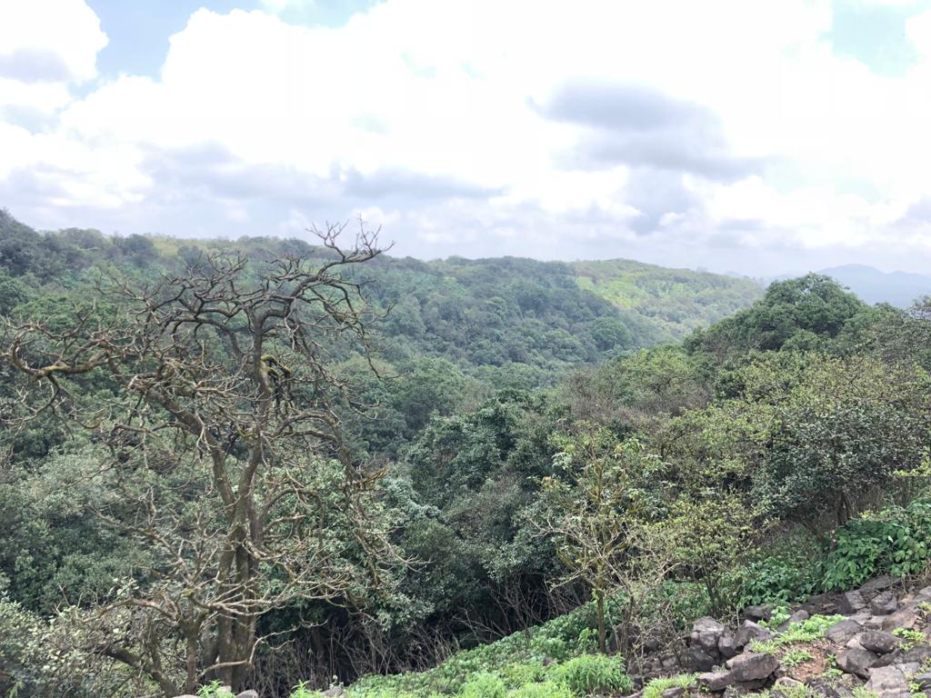 नवीन हॉटेल किंवा रिसॉर्ट बांधण्यासाठी परवानगी आवश्यक , प्लास्टिक कचरा, घन कचरा, जैव वैद्यकि य कचरा, ई-कचरा याचे व्यवस्थापन करावे लागणार, वाहन प्रदूषण रोखण्यासाठी व त्यावर नियंत्रण ठेवण्यासाठी कायद्याचे काटेकोर पालन केले जाईल, डोंगराच्या उतारांचे संरक्षण करण्यासाठी यावर कोणत्याही बांधकामाला परवानगी नसणार आहे. नवीन हॉटेल किंवा रिसॉर्ट बांधण्यासाठी परवानगी आवश्यक , प्लास्टिक कचरा, घन कचरा, जैव वैद्यकि य कचरा, ई-कचरा याचे व्यवस्थापन करावे लागणार, वाहन प्रदूषण रोखण्यासाठी व त्यावर नियंत्रण ठेवण्यासाठी कायद्याचे काटेकोर पालन केले जाईल, डोंगराच्या उतारांचे संरक्षण करण्यासाठी यावर कोणत्याही बांधकामाला परवानगी नसणार आहे.