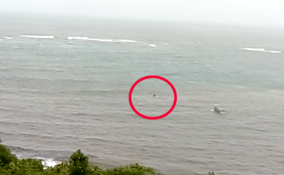 दाभोळ खाडीत मच्छिमारांच्या बोटीला जलसमाधी, LIVE VIDEO मध्ये पाहा थरार