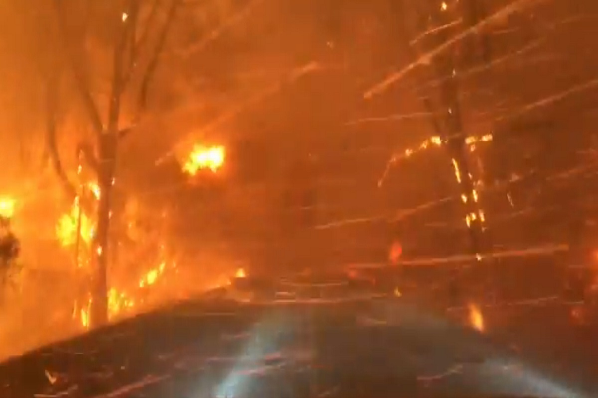 रस्त्याच्या दुतर्फा आग, अंगावर ठिगण्या उडत असूनही त्यानं गाडी थांबवली नाही! पाहा थरकाप उडवणारा VIDEO