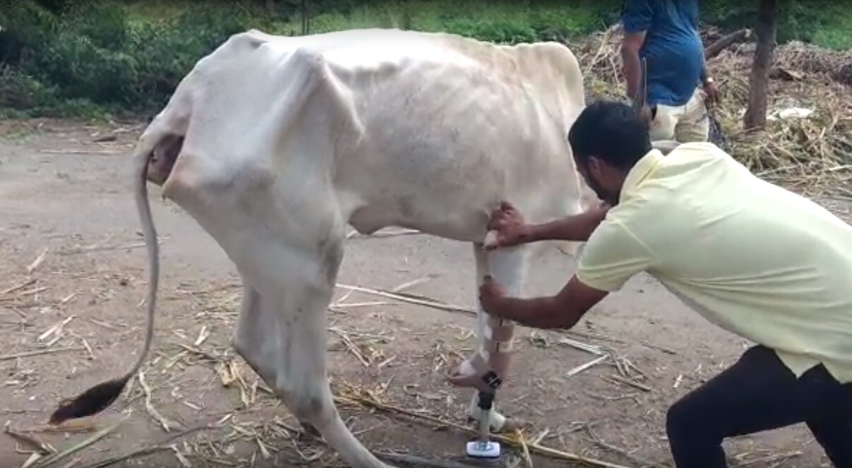 संचेती इन्स्टिट्युट ऑफ ऑर्थोपेडीक आणि रिहॅबिलीटेशनचे प्रमुख डॉ. पराग संचेती म्हणाले, संचेती इन्स्टिट्युट ऑफ ऑर्थोपेडीक आणि रिहॅबिलीटेशनचे प्रमुख डॉ. पराग संचेती म्हणाले,