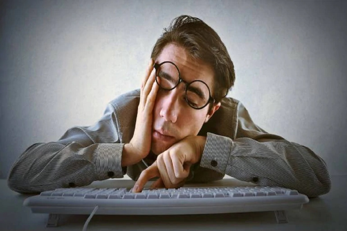 काहीही काम न करण्याचे ‘ही’ कंपनी देतेय 1.41 लाख! वाचा या ड्रीम जॉबच्या अटी