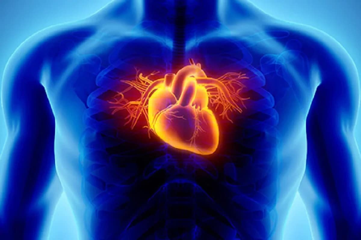 कोरोनाव्हायरसवर उपचार घेत असताना कार्डियाक एरिथमिया (Cardiac arrhythmia) होऊ शकतो, असं काही संशोधनात दिसून आलं आहे. एरिथमियाचं वेळीच निदान आणि उपचार न झाल्यास हार्ट अटॅकचा धोका उद्भवतो. कोरोनाव्हायरसवर उपचार घेत असताना कार्डियाक एरिथमिया (Cardiac arrhythmia) होऊ शकतो, असं काही संशोधनात दिसून आलं आहे. एरिथमियाचं वेळीच निदान आणि उपचार न झाल्यास हार्ट अटॅकचा धोका उद्भवतो.
