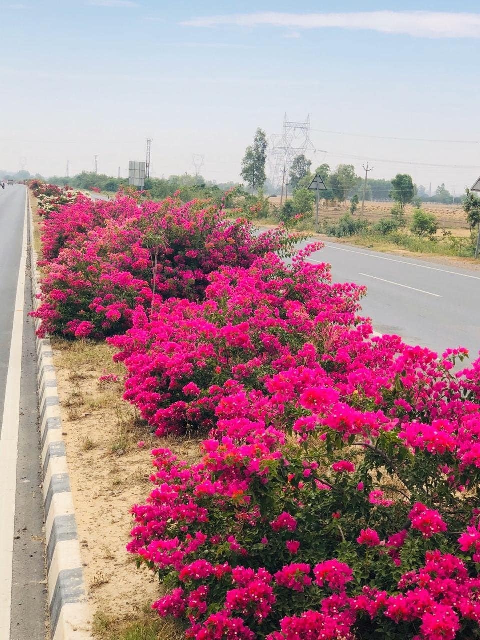 नॅशनल हायवे ऑथोरिटी ऑफ इंडियाने काही दिवसांपूर्वीच हे फोटो आपल्या ट्विटर अकाऊंटवर शेअर केले होते. नॅशनल हायवे ऑथोरिटी ऑफ इंडियाने काही दिवसांपूर्वीच हे फोटो आपल्या ट्विटर अकाऊंटवर शेअर केले होते.