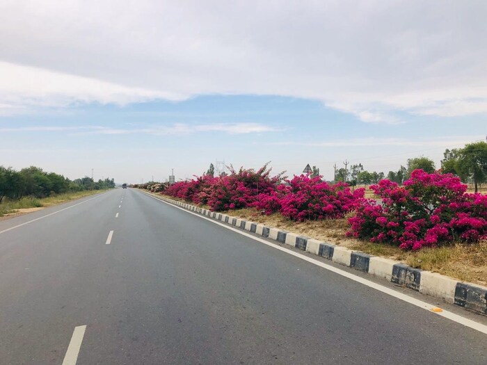 फक्त रेल्वे स्टेशनच नाही तर लॉकडाऊनमध्ये अशा सुंदर हायवेचीदेखील फोटो सोशल मीडियावर शेअर होऊ लागले आहेत.