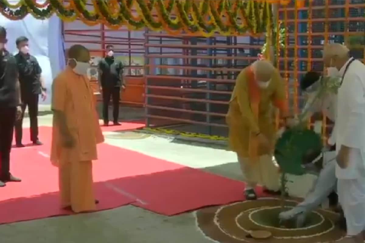 पारिजातकाची पाने वाटून त्वचेवर लावल्यास त्वचेसंबंधी समस्या बऱ्या होतात. या पानांपासून तयार केलेलं हर्बल तेलही त्वचेच्या आजारात भरपूर प्रमाणात वापरलं जातं. (PHOTO - ANI) पारिजातकाची पाने वाटून त्वचेवर लावल्यास त्वचेसंबंधी समस्या बऱ्या होतात. या पानांपासून तयार केलेलं हर्बल तेलही त्वचेच्या आजारात भरपूर प्रमाणात वापरलं जातं. (PHOTO - ANI)