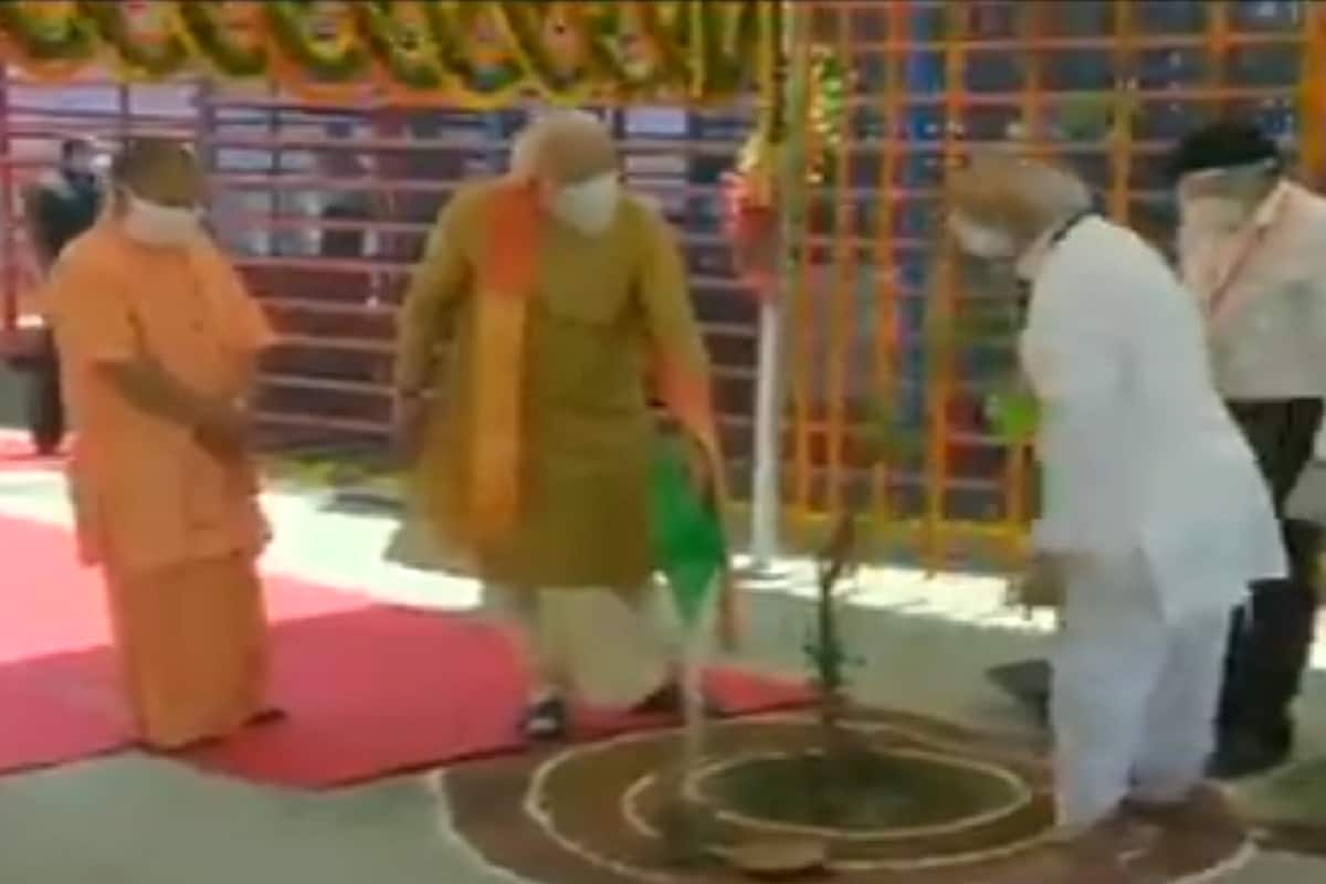 याशिवाय या पानांच्या रसात मध मिसळून प्यायल्यास कोरडा खोकला बरा होतो. तसंच या पानांचा रस तापावरही फायदेशीर आहे. (PHOTO - ANI) याशिवाय या पानांच्या रसात मध मिसळून प्यायल्यास कोरडा खोकला बरा होतो. तसंच या पानांचा रस तापावरही फायदेशीर आहे. (PHOTO - ANI)