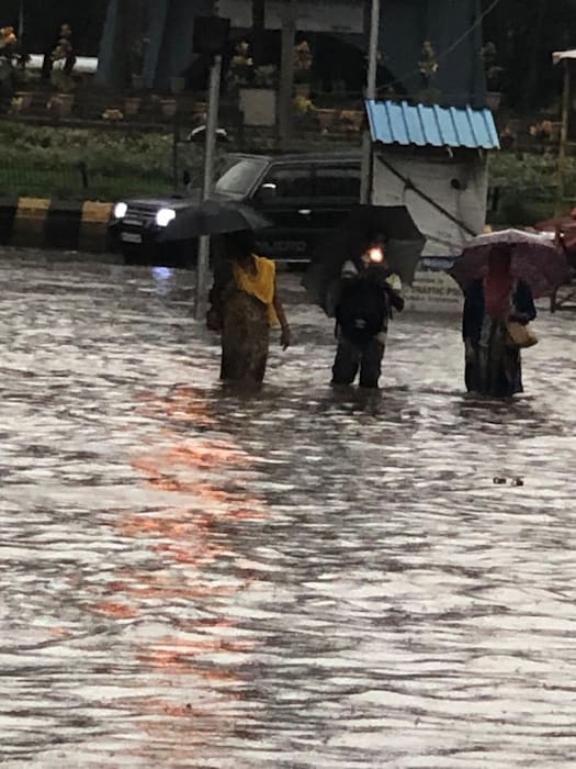 बाधित प्राण्यांच्या लघवीद्वारे संसर्गित झालेल्या पाण्याशी संबंध येताच मनुष्याला लेप्टोस्पायरोसिस रोगाची बाधा होऊ शकते. हा संसर्ग जखम झालेली त्वचा, डोळे, नाक याद्वारे होतो. मनुष्यापासून मनुष्याला लेप्टोच्या संसर्गाची बाधा होत नाही.